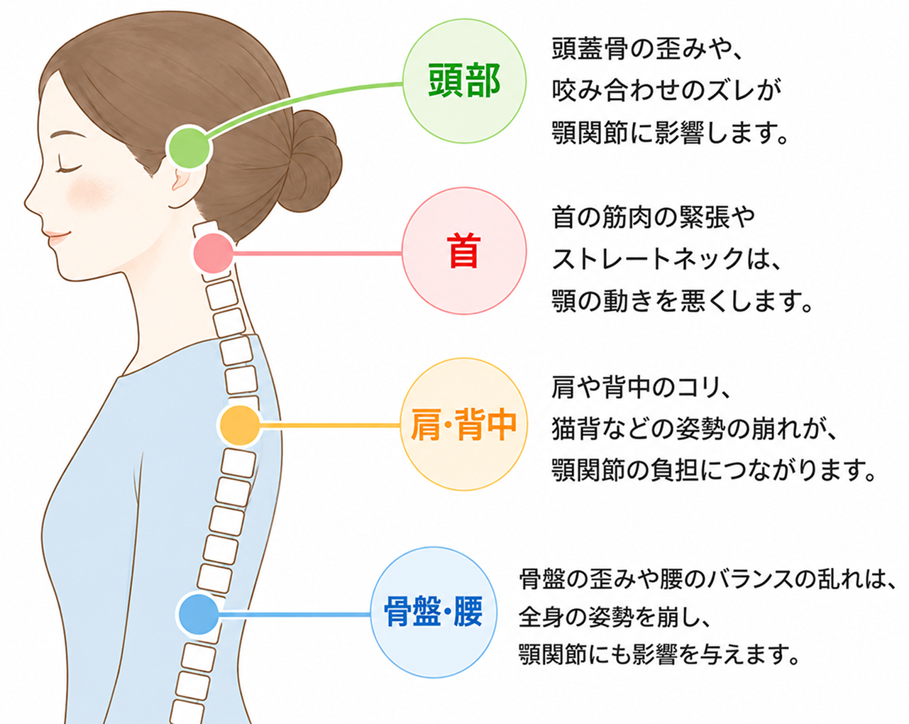 顎関節と全身のつながり